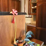 Apartamento Alba In Ca Delle Isole
